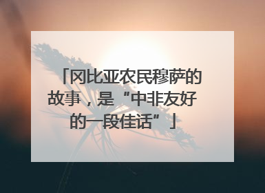 冈比亚农民穆萨的故事，是“中非友好的一段佳话”