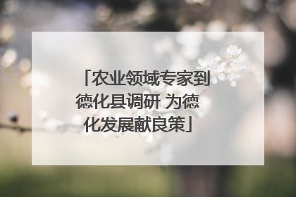 农业领域专家到德化县调研 为德化发展献良策