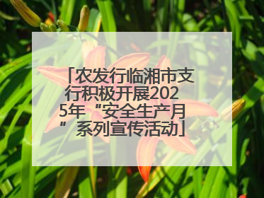农发行临湘市支行积极开展2025年“安全生产月”系列宣传活动