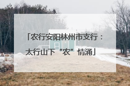 农行安阳林州市支行：太行山下“农”情涌