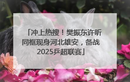 冲上热搜！樊振东许昕同框现身河北雄安，备战2025乒超联赛