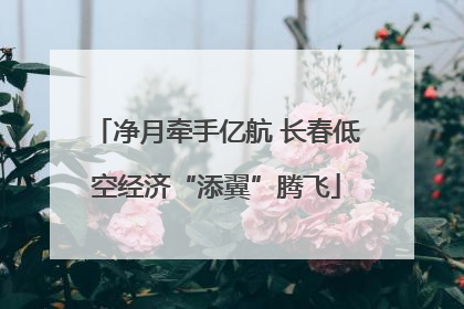 净月牵手亿航 长春低空经济“添翼”腾飞