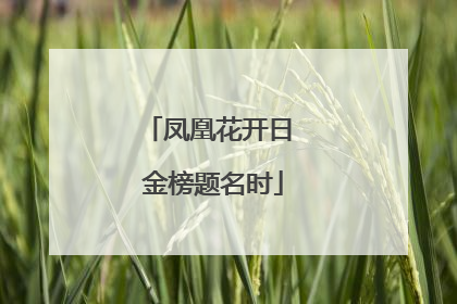 凤凰花开日 金榜题名时