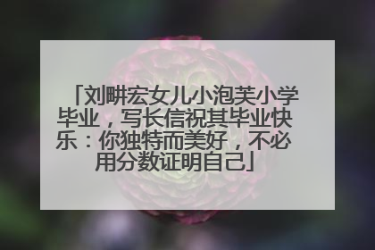 刘畊宏女儿小泡芙小学毕业，写长信祝其毕业快乐：你独特而美好，不必用分数证明自己