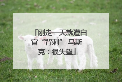 刚走一天就遭白宫“背刺” 马斯克：很失望