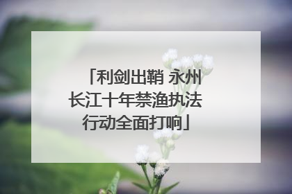 利剑出鞘 永州长江十年禁渔执法行动全面打响