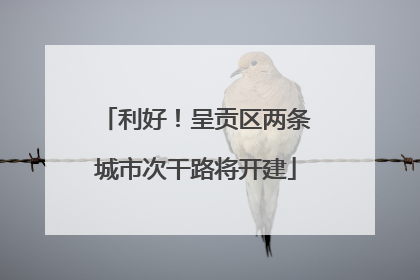 利好！呈贡区两条城市次干路将开建