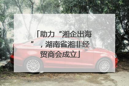 助力“湘企出海”，湖南省湘非经贸商会成立