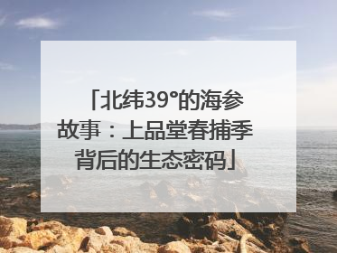 北纬39°的海参故事：上品堂春捕季背后的生态密码