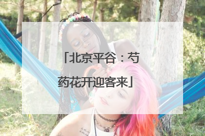 北京平谷：芍药花开迎客来