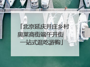 北京延庆井庄乡村奥莱商街端午开街 一站式逛吃游购