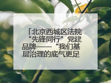 北京西城区法院“先锋同行”党建品牌——“我们基层治理的底气更足了！”
