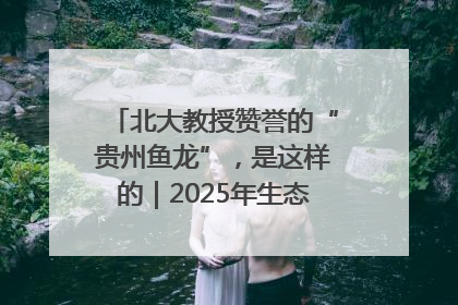北大教授赞誉的“贵州鱼龙”，是这样的｜2025年生态文明贵阳国际论坛