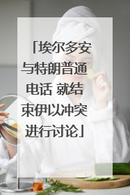 埃尔多安与特朗普通电话 就结束伊以冲突进行讨论