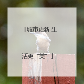 城市更新 生活更“美”