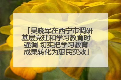 吴晓军在西宁市调研基层党建和学习教育时强调 切实把学习教育成果转化为惠民实效