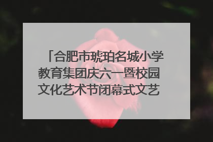 合肥市琥珀名城小学教育集团庆六一暨校园文化艺术节闭幕式文艺汇演圆满举行