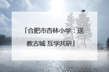 合肥市杏林小学：送教古城 互学共研