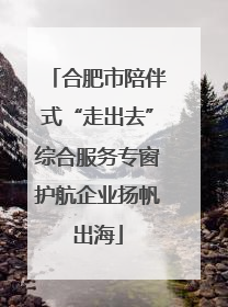 合肥市陪伴式“走出去”综合服务专窗护航企业扬帆出海