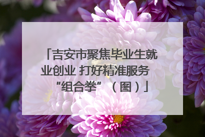 吉安市聚焦毕业生就业创业 打好精准服务“组合拳”（图）