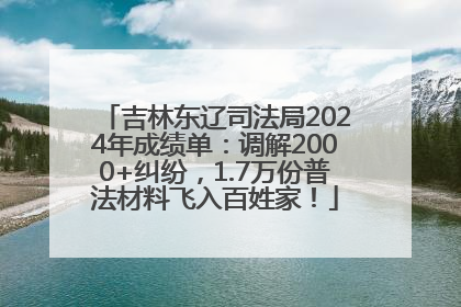 吉林东辽司法局2024年成绩单：调解2000+纠纷，1.7万份普法材料飞入百姓家！