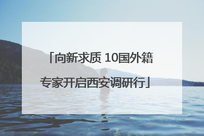 向新求质 10国外籍专家开启西安调研行