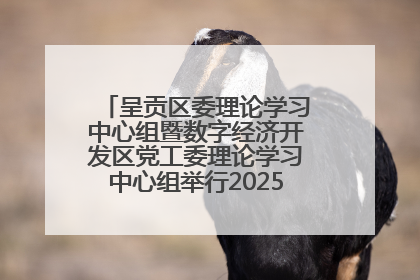 呈贡区委理论学习中心组暨数字经济开发区党工委理论学习中心组举行2025年第七次学习会议