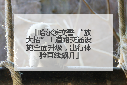 哈尔滨交警 “放大招”！道路交通设施全面升级，出行体验直线飙升
