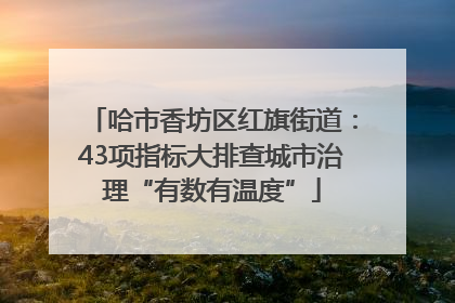 哈市香坊区红旗街道：43项指标大排查城市治理“有数有温度”