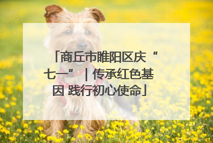 商丘市睢阳区庆“七一”｜传承红色基因 践行初心使命
