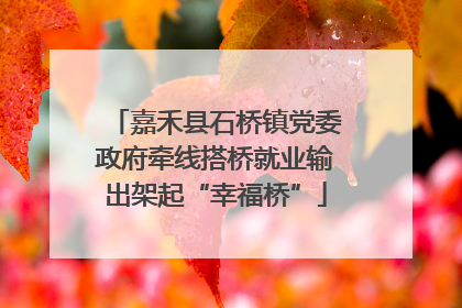 嘉禾县石桥镇党委政府牵线搭桥就业输出架起“幸福桥”