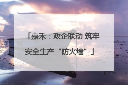 嘉禾：政企联动 筑牢安全生产“防火墙”