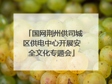 国网荆州供司城区供电中心开展安全文化专题会