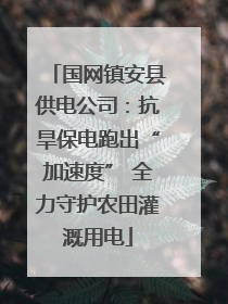 国网镇安县供电公司：抗旱保电跑出“加速度” 全力守护农田灌溉用电