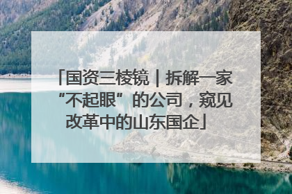 国资三棱镜｜拆解一家“不起眼”的公司，窥见改革中的山东国企
