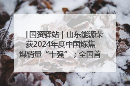 国资驿站｜山东能源荣获2024年度中国炼焦煤销量“十强”；全国首例铁路盖上智慧物流园钢结构主体完工
