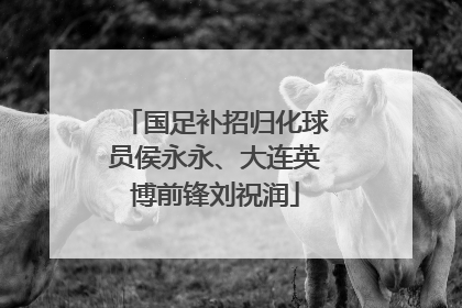 国足补招归化球员侯永永、大连英博前锋刘祝润