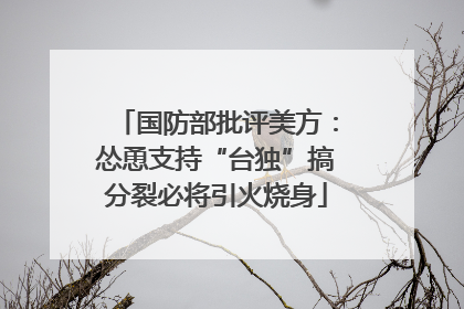 国防部批评美方：怂恿支持“台独”搞分裂必将引火烧身