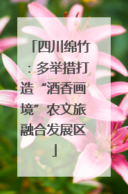 四川绵竹：多举措打造“酒香画境”农文旅融合发展区