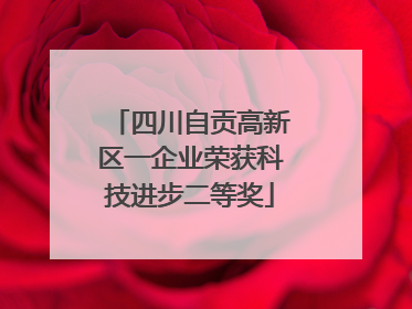 四川自贡高新区一企业荣获科技进步二等奖