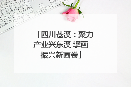 四川苍溪：聚力产业兴东溪 擘画振兴新画卷