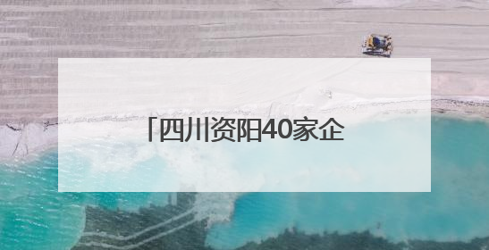 四川资阳40家企业携“拳头”产品参展 西博会打卡地铁上的创业城市