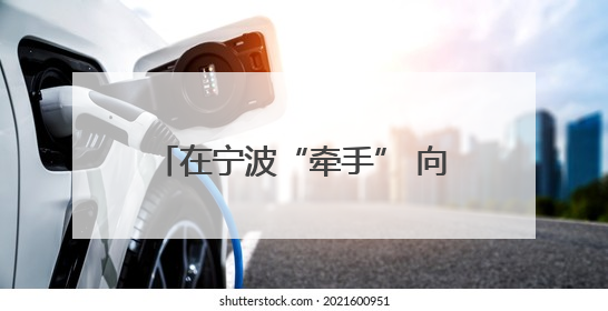 在宁波“牵手” 向中国大市场“进军”