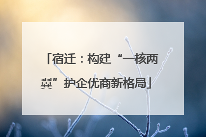 宿迁：构建“一核两翼”护企优商新格局