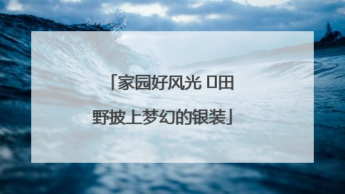 家园好风光 ⎮田野披上梦幻的银装