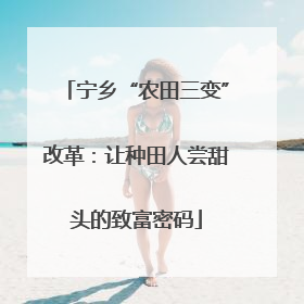 宁乡“农田三变”改革：让种田人尝甜头的致富密码