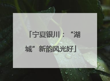 宁夏银川：“湖城”新韵风光好