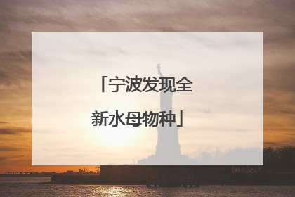 宁波发现全新水母物种