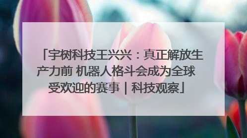 宇树科技王兴兴：真正解放生产力前 机器人格斗会成为全球受欢迎的赛事｜科技观察