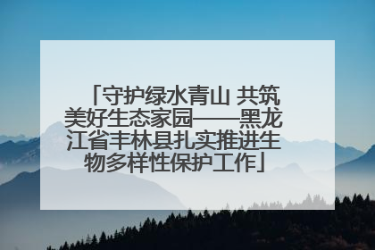 守护绿水青山 共筑美好生态家园——黑龙江省丰林县扎实推进生物多样性保护工作